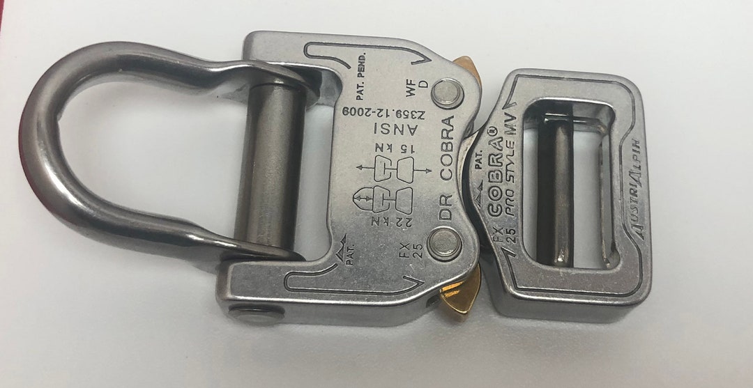 Buy Austrialpin 25mm / 1 Chrome Ansi Cobra Buckle and Parachute D Ring  FX25AVD Online in India 
