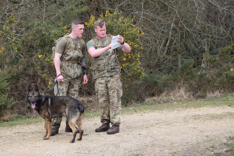 Ukoms Von Wolf K9 Training Dog Handlers Vest UK Made Etsy Australia