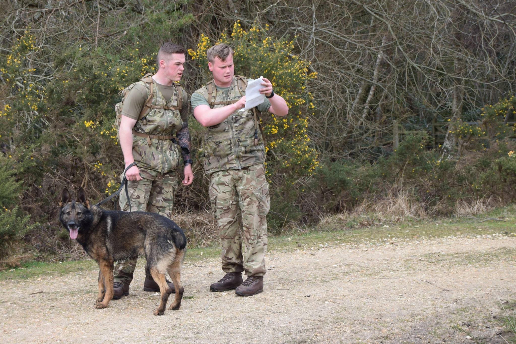 UKOMs Von Wolf K9 Training Dog Handlers Vest UK Made Etsy