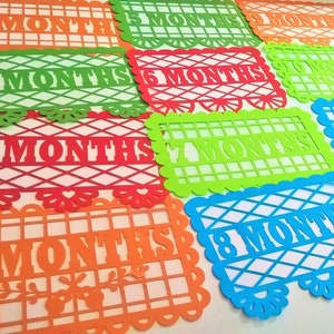 1st BIRTHDAY 12 Months 13 SVG Files Templates Cutting Decorative Banners Mexican Papel Picado Coco Months, Laser or Digital Cut, png Ai dxf