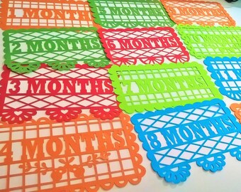 1st BIRTHDAY 12 Months 13 SVG Files Templates Cutting Decorative Banners Mexican Papel Picado Coco Months, Laser or Digital Cut, png Ai dxf