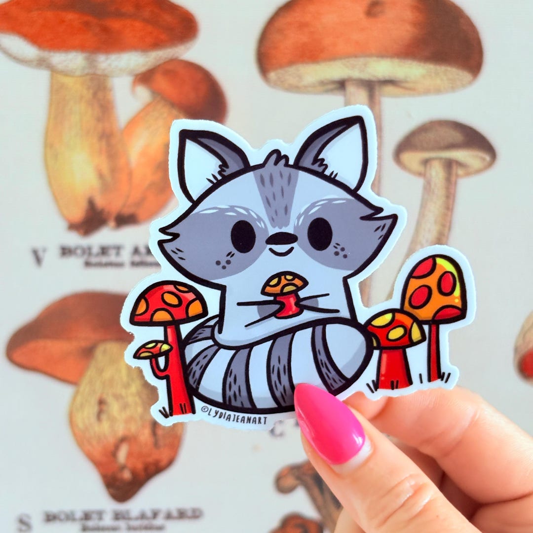 Raccoon and Toadstool Sticker | Cute Vinyl Decal, Original Art - Etsy