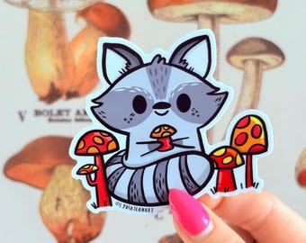 Raccoon and Toadstool Sticker | Cute Vinyl Decal, Original Art
