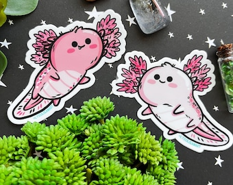 Axolotl vinyl sticker | Axolotl Sticker | Cute Sticker