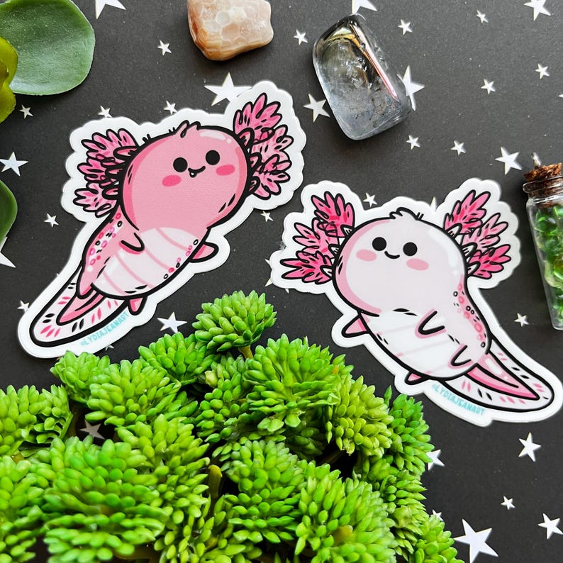 Puede incluir: Dos pegatinas de axolotl rosas con volantes rosas sobre un fondo negro con estrellas blancas. Los axolotls sonr&iacute;en y tienen ojos negros.