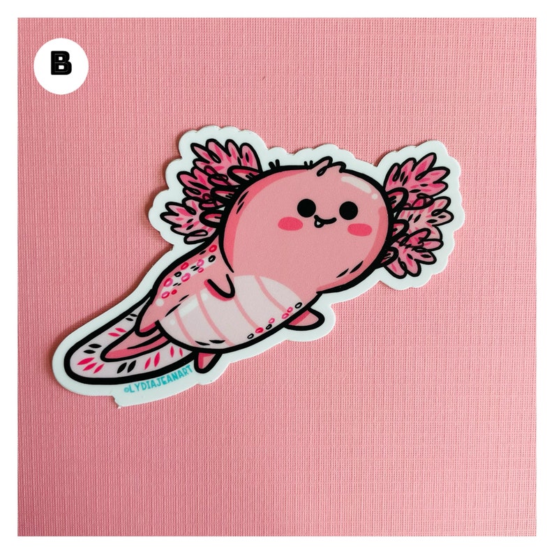 Puede incluir: Un ajolote rosa con branquias plumosas, ojos negros y una franja blanca a lo largo de su espalda. El ajolote est&aacute; nadando con su cola enroscada. El ajolote est&aacute; sobre un fondo rosa con la letra "B" en un c&iacute;rculo negro en la esquina superior izquierda. El ajolote es un tipo de salamandra que es nativa de M&eacute;xico.