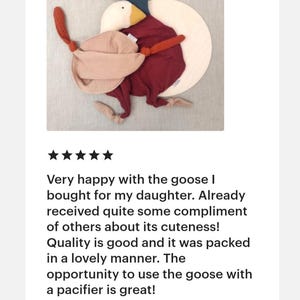 May include: A plush goose toy with a teal head, yellow beak, and burgundy body, paired with a smaller white goose. The toy includes a pacifier and is designed for babies and young children.