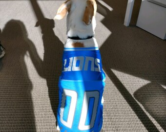 detroit lions cat jersey