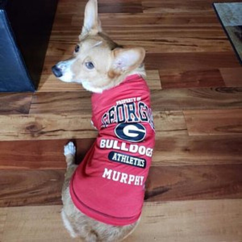 NCAA Arkansas Razorbacks Pet Jersey Large