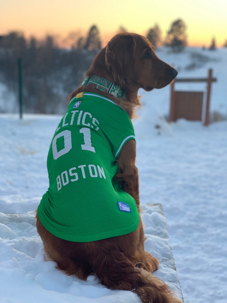 celtics dog jersey