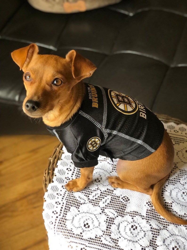 bruins dog jersey