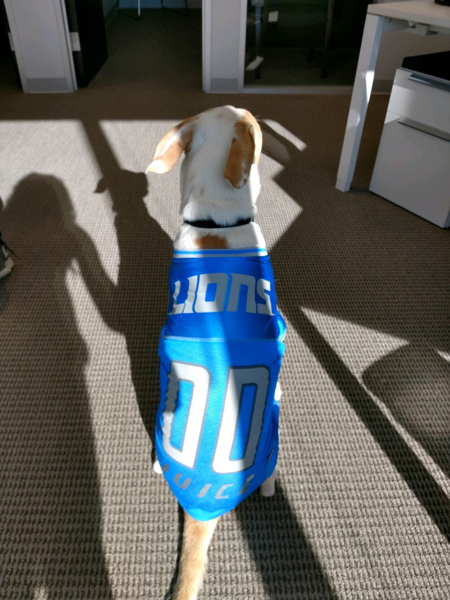 nfl dog jersey custom