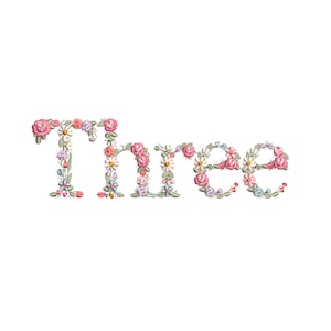 Puede incluir: La palabra "Three" está escrita en flores bordadas. Las flores son rosas, blancas y azul claro.