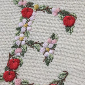 Diseño de bordado a máquina 5 cm de alto Monogramas Letras manzanas y flores Abecedario botánico Caracteres especiales Español Francés etc. imagen 6