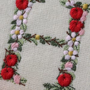 Diseño de bordado a máquina 5 cm de alto Monogramas Letras manzanas y flores Abecedario botánico Caracteres especiales Español Francés etc. imagen 9
