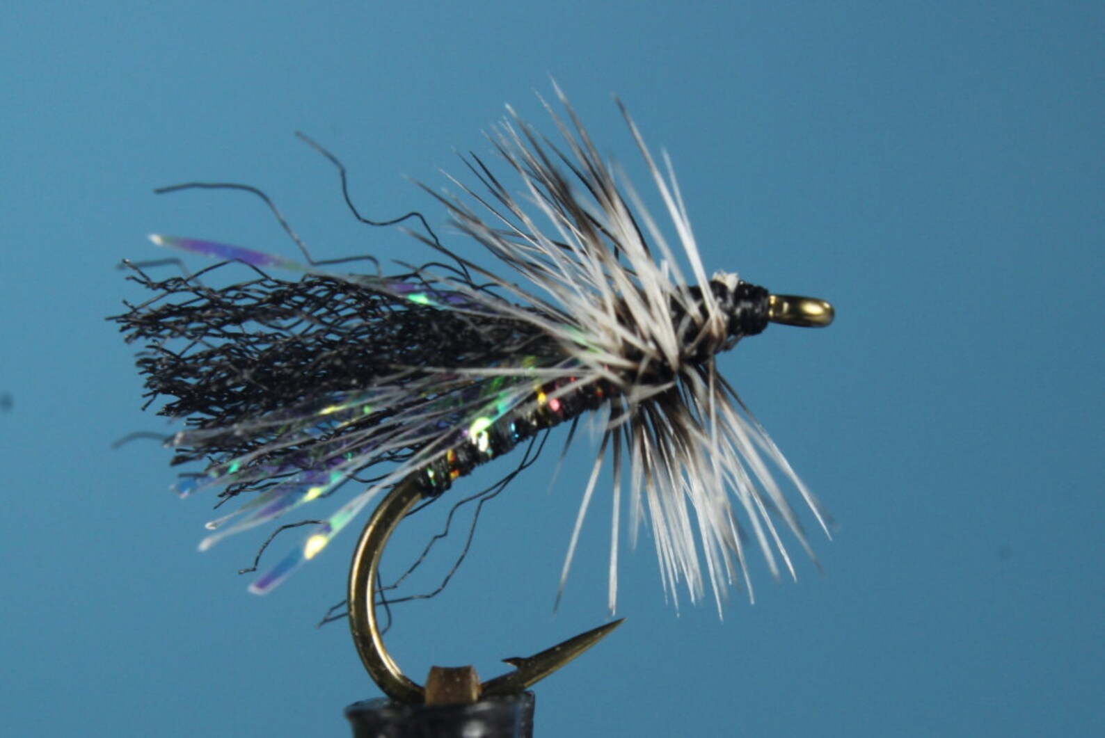 little black caddis fly
