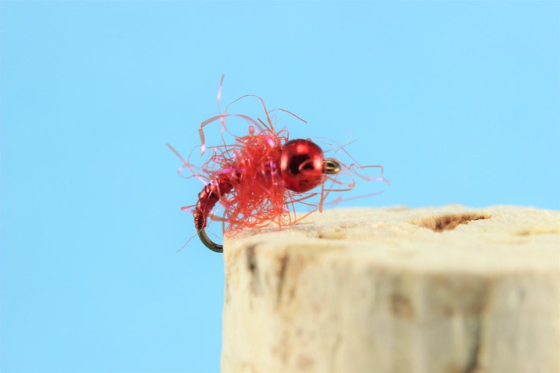 Puede incluir: Un se&ntilde;uelo de pesca con mosca rojo con cabeza de cuentas y cuerpo de marab&uacute; rojo y rosa.