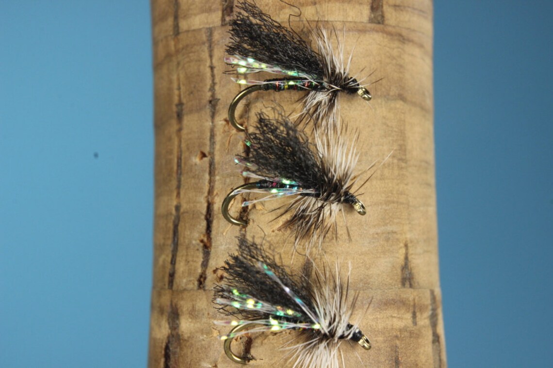 little black caddis fly