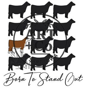 May include: A graphic design featuring black and brown cow silhouettes arranged in a circular pattern, with the text "ART IOWA CO." and "Born To Stand Out" in a script font.