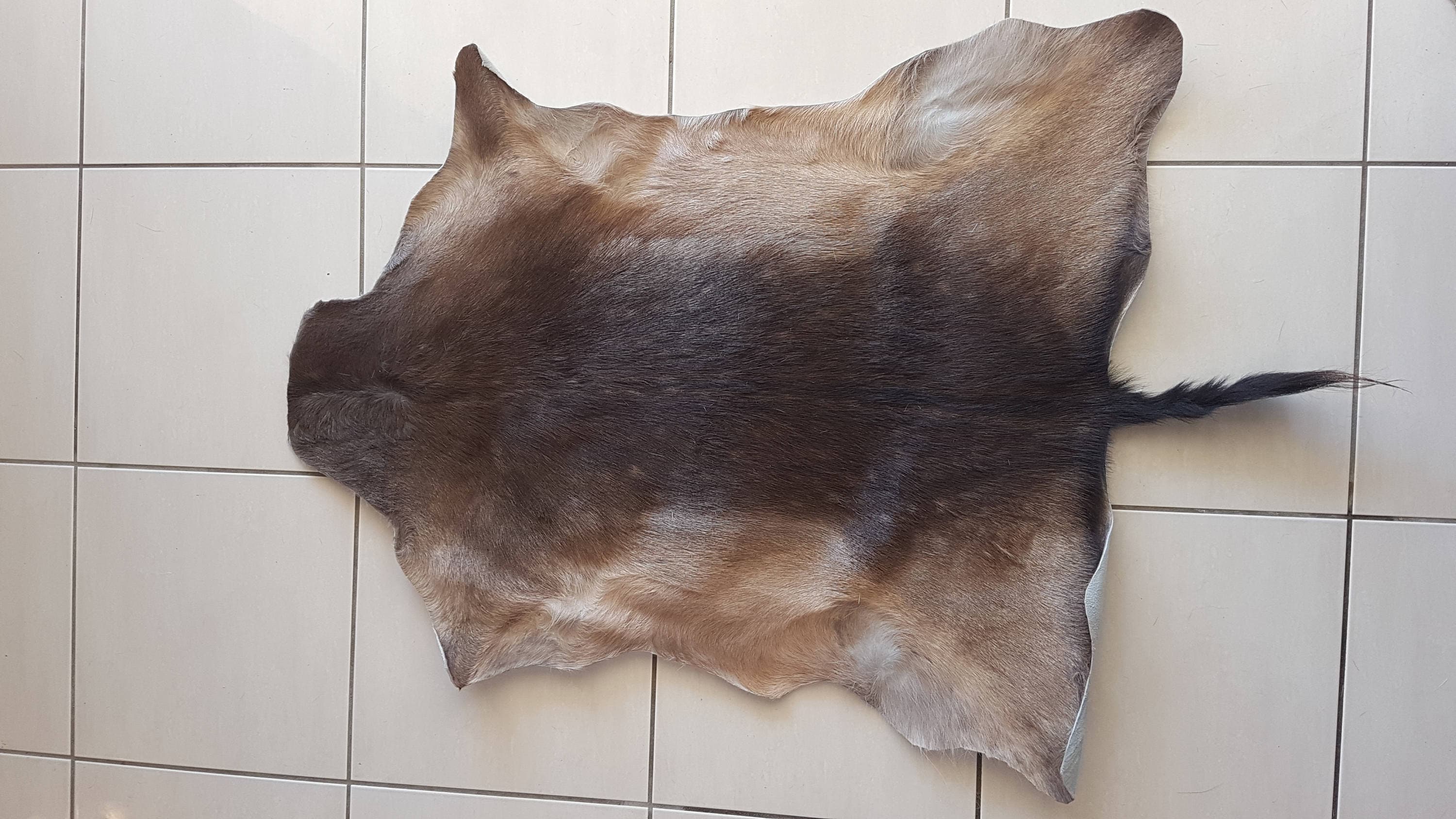 Real Deer Skin Rug Etsy Australia