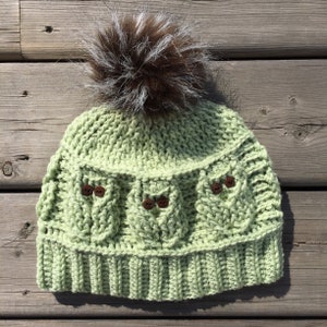May include: A green crocheted beanie with a brown and white fur pom pom. The beanie has three owl designs with brown buttons for eyes.