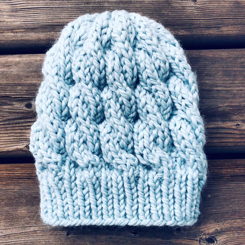 May include: A light blue knitted beanie with a cable knit pattern.