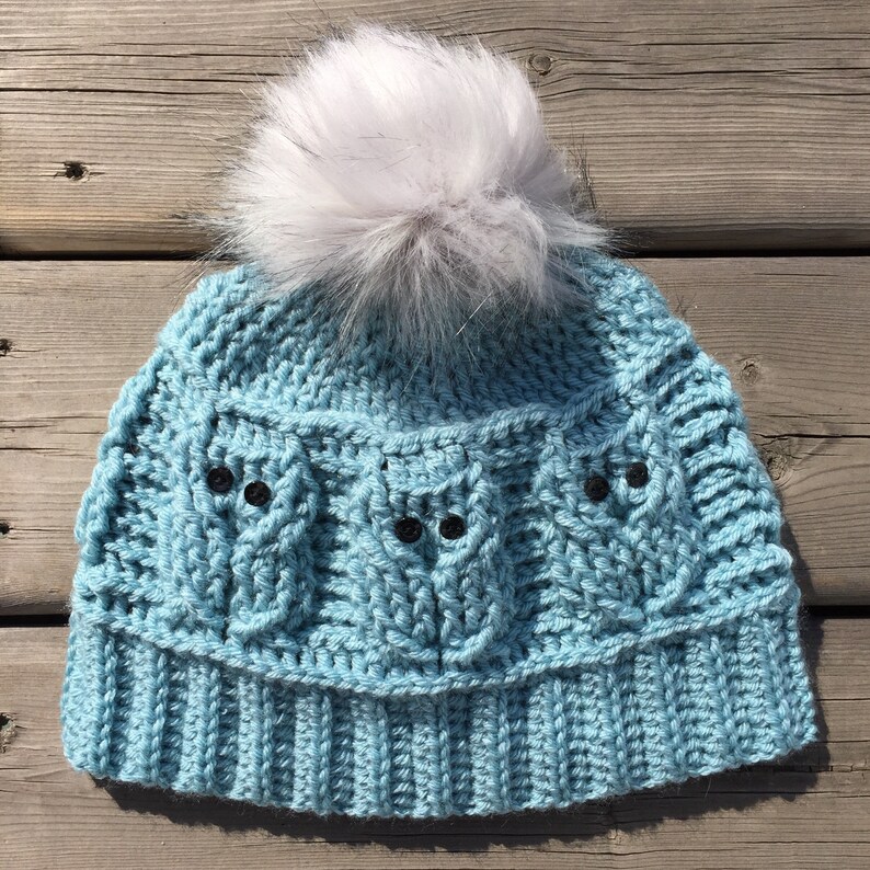 May include: A blue crocheted beanie with a white pom pom and owl designs. The beanie has black buttons for eyes.