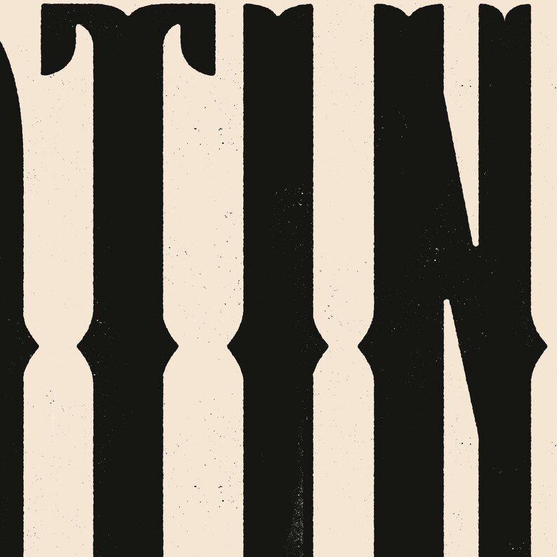 May include: Black and white graphic design with the word "TIN" in bold, serif font.