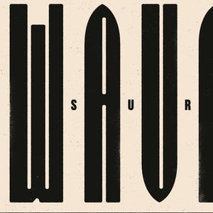 Puede incluir: Dise&ntilde;o gr&aacute;fico en blanco y negro de la palabra "SURF" con cada letra en un estilo &uacute;nico. Las letras son negritas y en bloque.