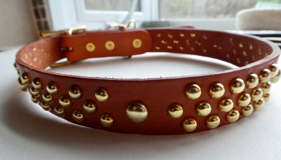 brass studded dog collar