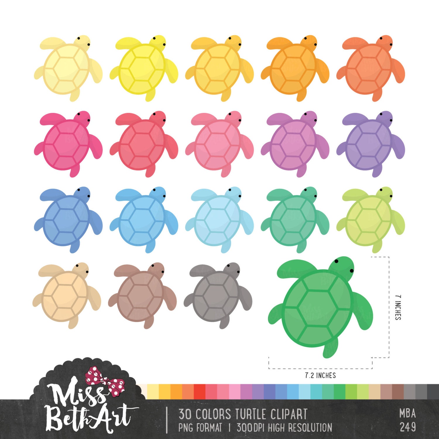 30 Colors Turtle Clipart Instant Download | Etsy