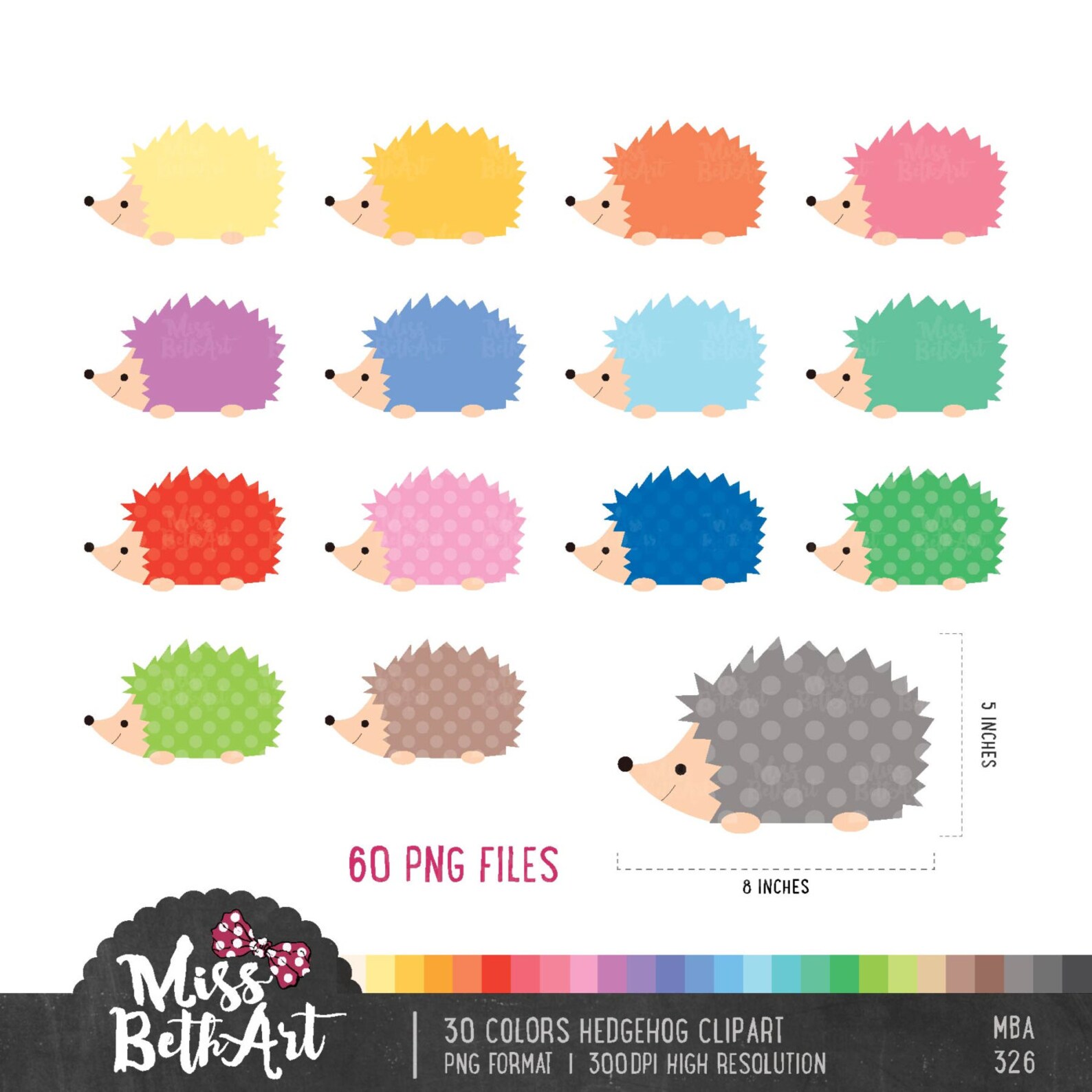 Ежик схема цветная 1 класс. Цвет ежика. Ежик цветной. Расцветки ежей. Какого цвета Ежик.