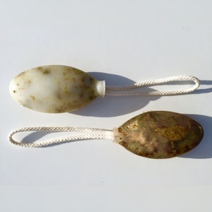 May include: Two white oval-shaped objects with a rope attached. The objects are covered in green and brown algae.