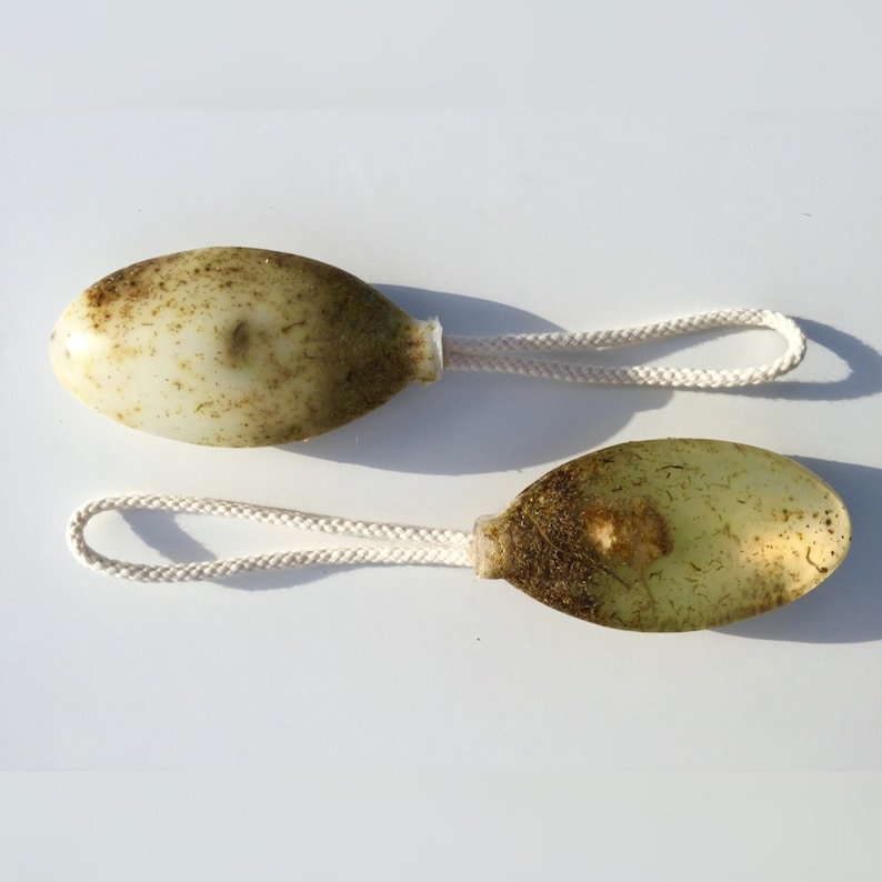 May include: Two green and white oval-shaped objects with a white rope attached to each. The objects are covered in green algae.
