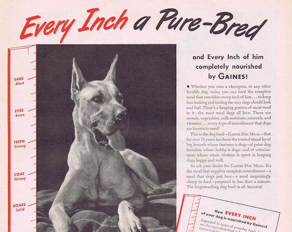 1944 Gaines Dog Food with Great Dane or Avis Paris Men’s Suspenders and Belts with Santa Original Vintage Advertisement