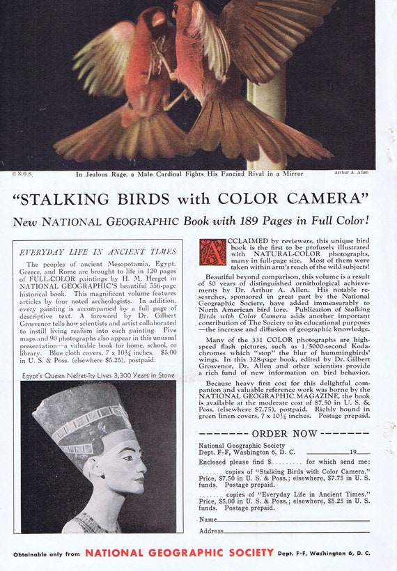 1952 Stalking Birds with Color Camera National Geographic Book or Family Fun in Ontario Original Vintage Advertisement