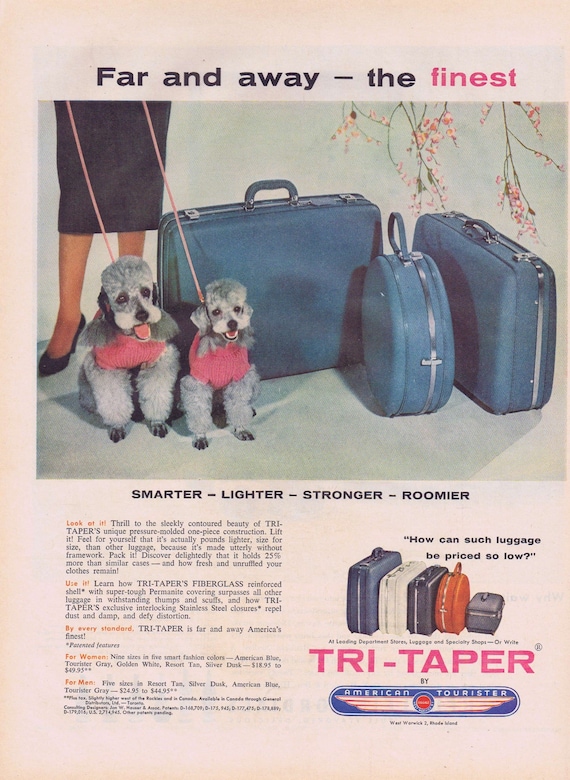 1957 American Tourister Tri-Taper Luggage Advertisement with Pair of Cute Poodles