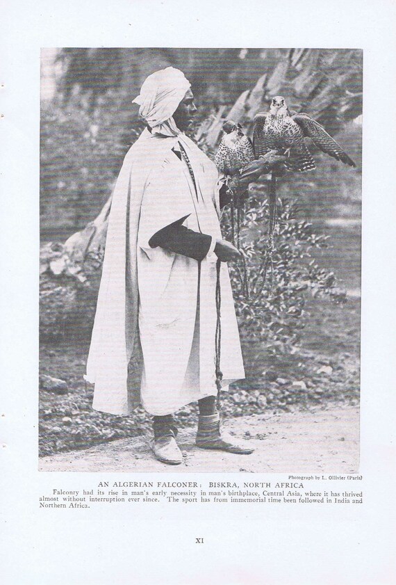 An Algerian Falconer in Biskra North Africa 1920 Magazine Photograph with Falcon