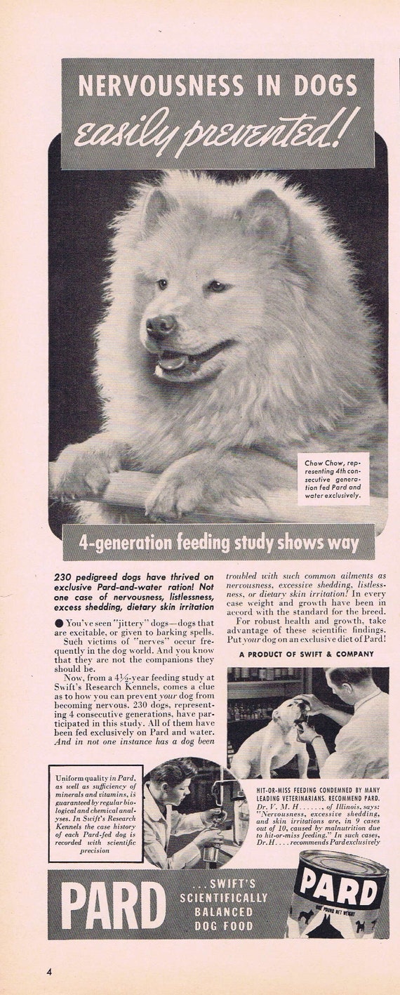 Chow Chow 4th Generation Dog and Pard Dog Food Original Vintage 1939 Advertisement Neat Photo