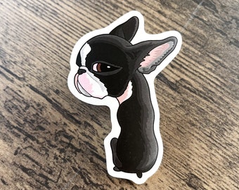 Boston Terrier zijoog - sticker van 3 inch