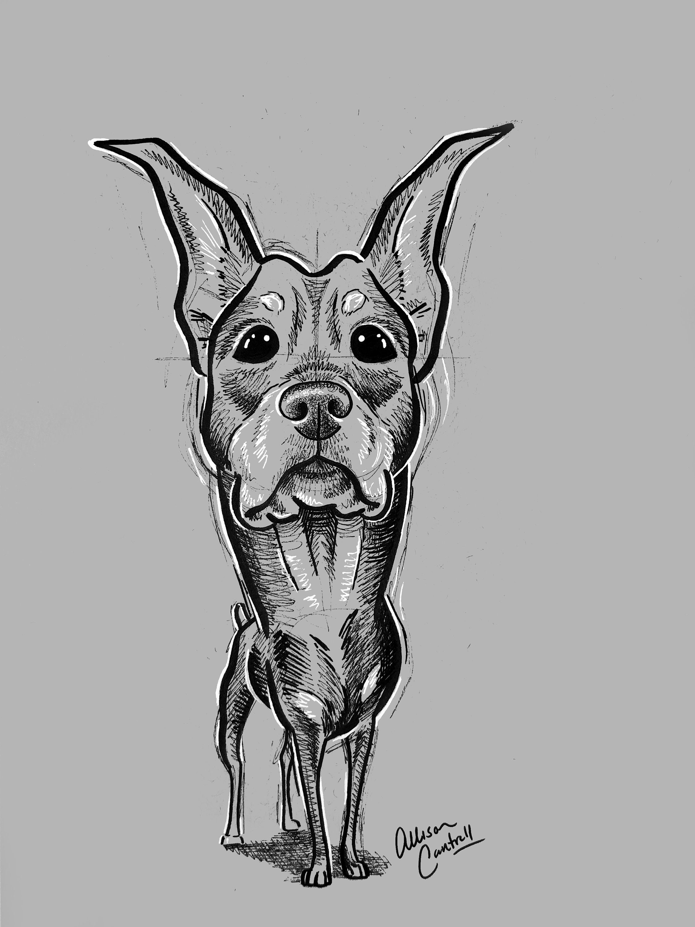 CLEARANCE - Doberman - Enamel Pin - Etsy