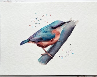 Nuthatch Watercolour Print | Bird art, Gifts for birders