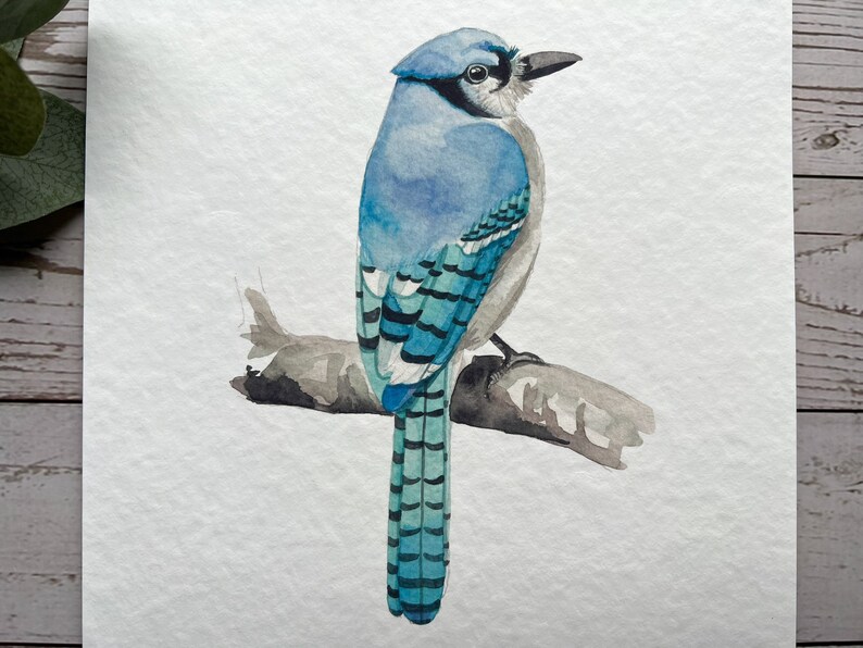 Blue jay watercolour print bird art, bird print, art print, wall art Bild 2