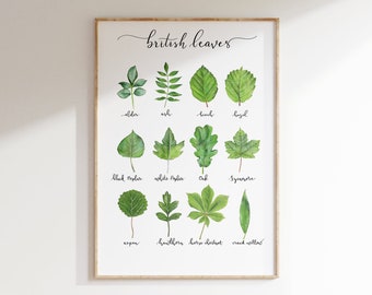 Feuilles d'arbres britanniques Impression d'art A4 | art de la feuille, feuilles britanniques, affiche de feuille, impression d'arbre, art de la nature, cadeaux pour les amoureux de la nature