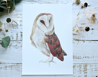 Barn Owl Watercolour Art Print | Bird Lover Gift