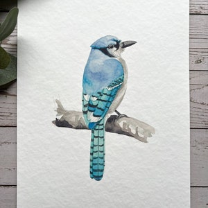 Blue jay watercolour print bird art, bird print, art print, wall art Bild 5
