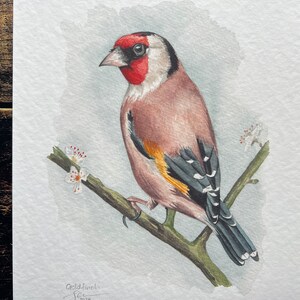 A print of a watercolour goldfinch on a blossoming branch