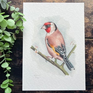 A print of a watercolour goldfinch on a blossoming branch