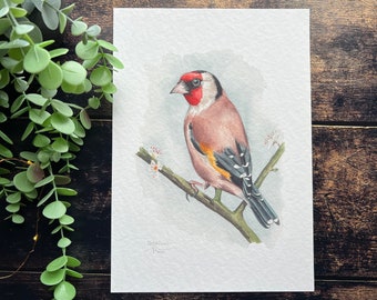 Goldfinch watercolour print | A4 print, wall art, wall decor, giclée print, bird art, bird print, gifts for bird lovers