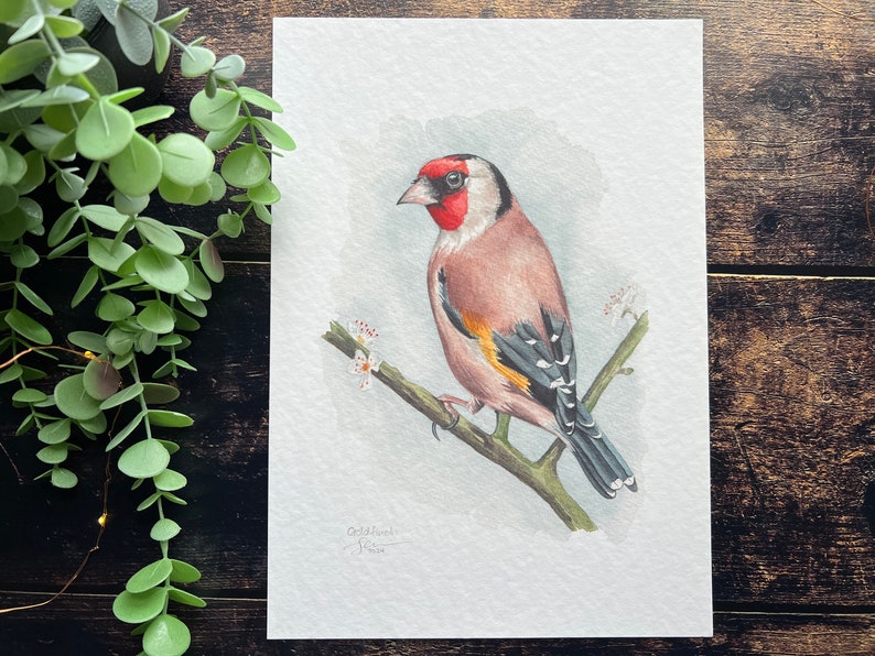 A print of a watercolour goldfinch on a blossoming branch